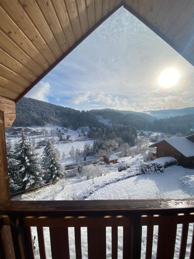 Chalet De La Grimpette Au Coeur De Gérardmer Kültér fotó