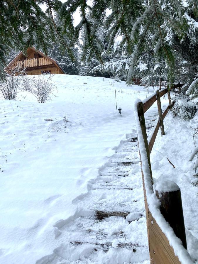 Chalet De La Grimpette Au Coeur De Gérardmer Kültér fotó