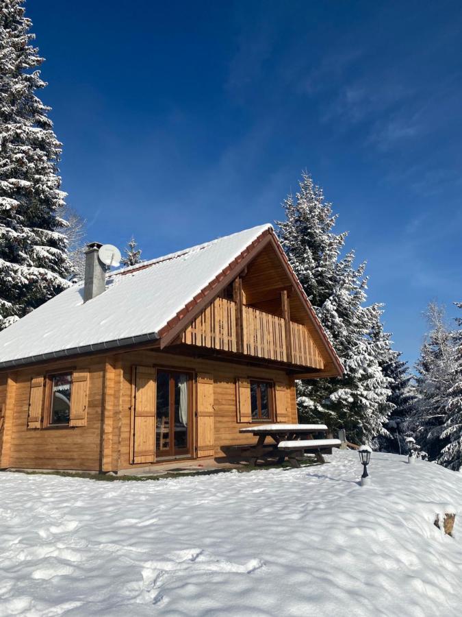 Chalet De La Grimpette Au Coeur De Gérardmer Kültér fotó