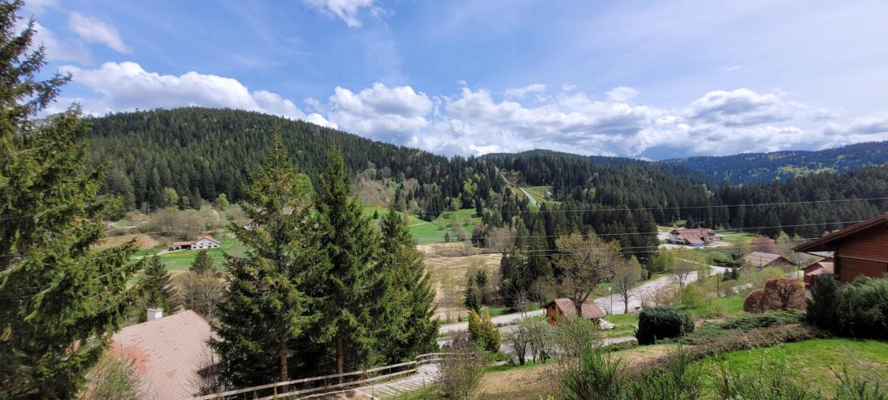 Chalet De La Grimpette Au Coeur De Gérardmer Kültér fotó